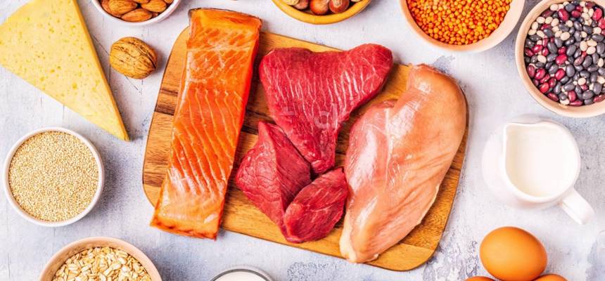 Animal Protein Sources